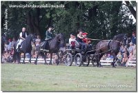 Marschhorst einreiten - Sandra in rot mit auf dem Wagen